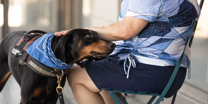 Research Study on Pet Care Products - $165 - $165 - 08/28/2026