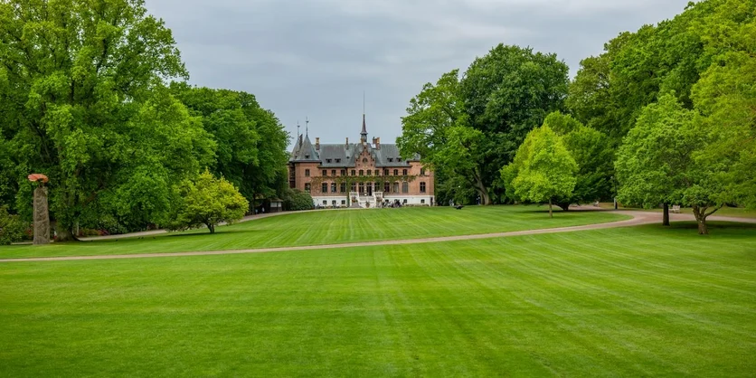 Research Study on Lawn Care - $100 - $100 - 06/29/2026
