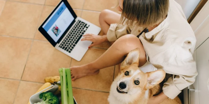 Research Study on Online Grocery Shopping - $25 - $25 - 08/23/2026