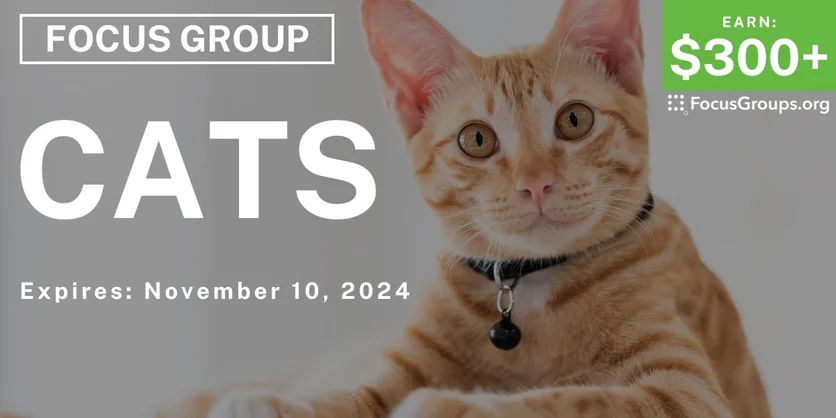 Focus Group in Atlanta on Cats - $300+ - 10/22/2024