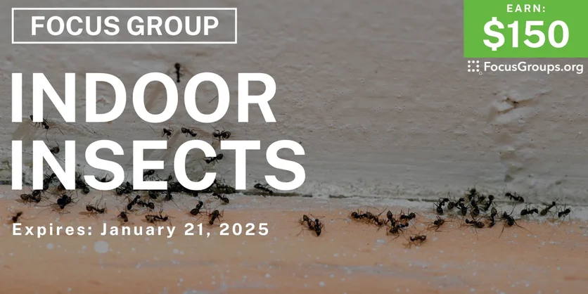 Focus Group on Indoor Insects - $150 - 01/07/2025