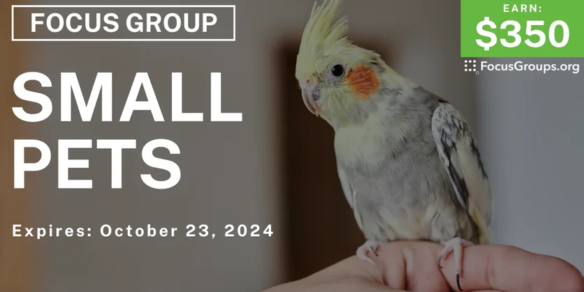 Focus Group in Tampa on Small Pets - $350 - 10/11/2024