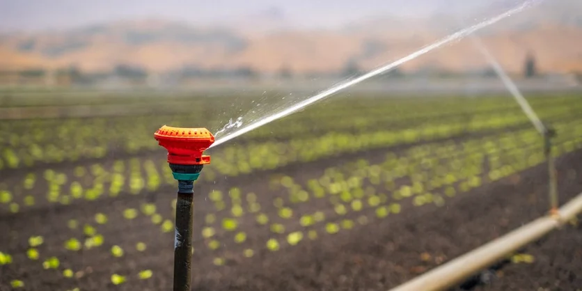Research Study on Water Management - $200 - $200 - 07/02/2026