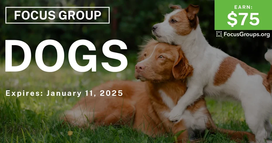Focus Group in Nashville on Dogs