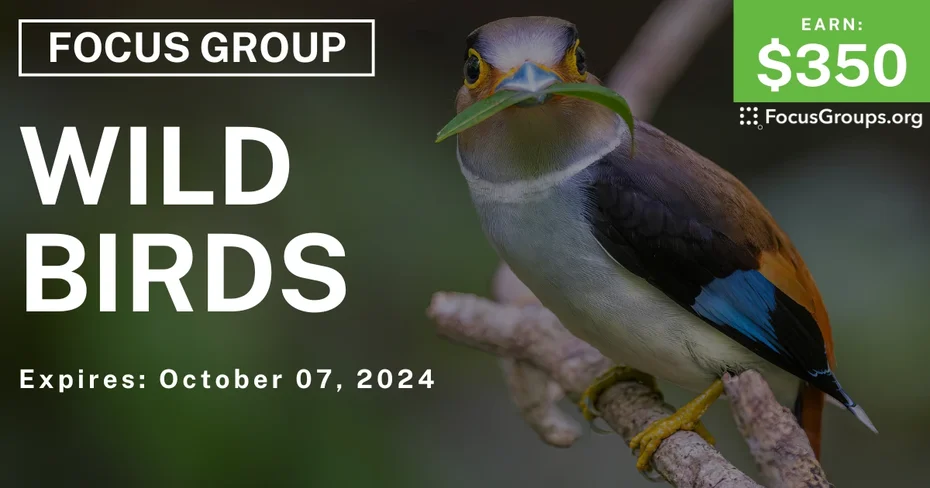 Focus Group in Tampa on Wild Birds