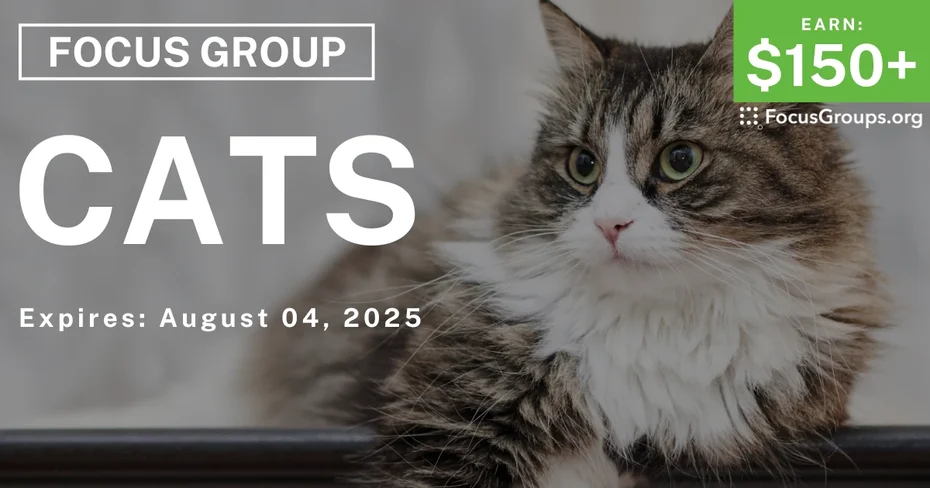 Focus Group in Atlanta on Cats