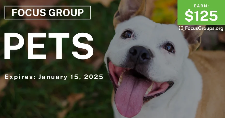 Focus Group in Columbus on Pets