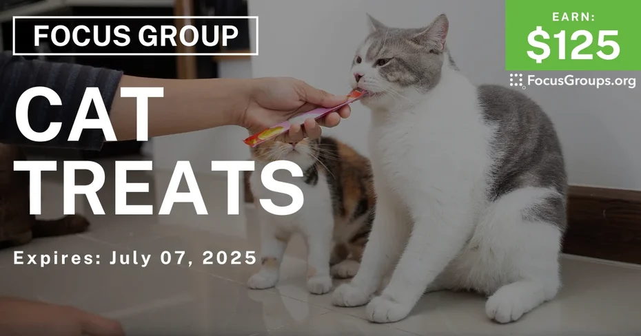 Focus Group in Nashville on Cat Treats