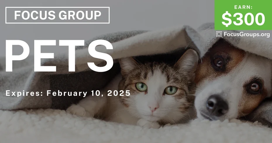 Focus Group in Nashville on Pets