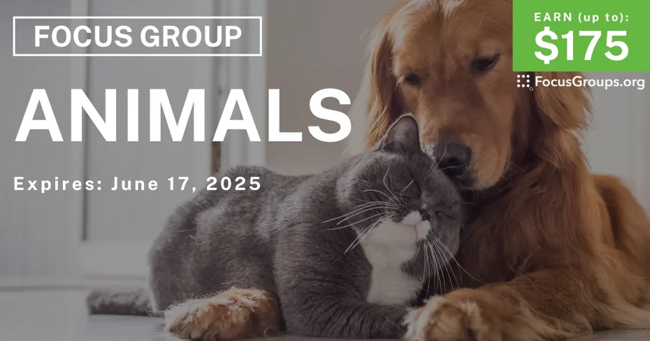Focus Group in Dallas on Animals