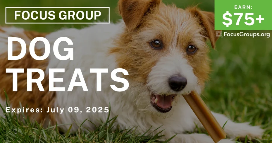 Focus Group in Columbus on Dog Treats