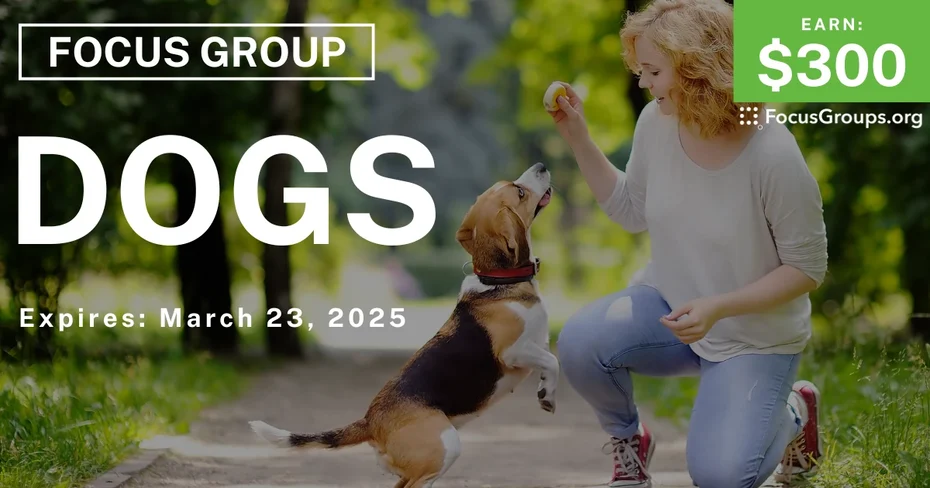 Focus Group on Dogs