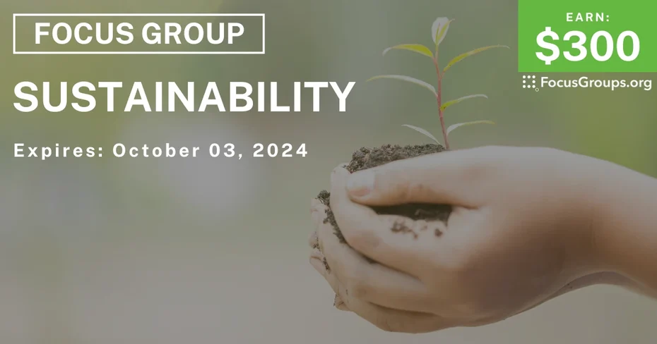 Focus Group on Sustainability