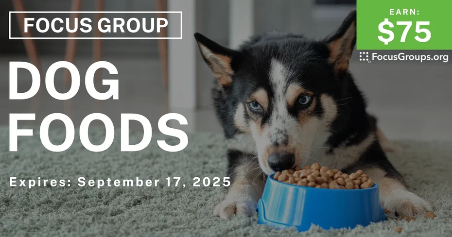 Focus Group in Nashville on Dog Foods - $75