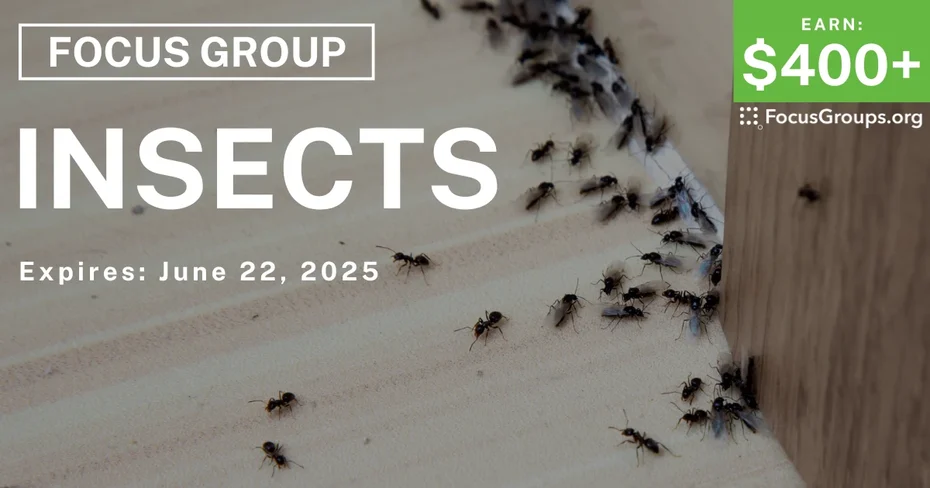 Focus Group in San Diego on Insects
