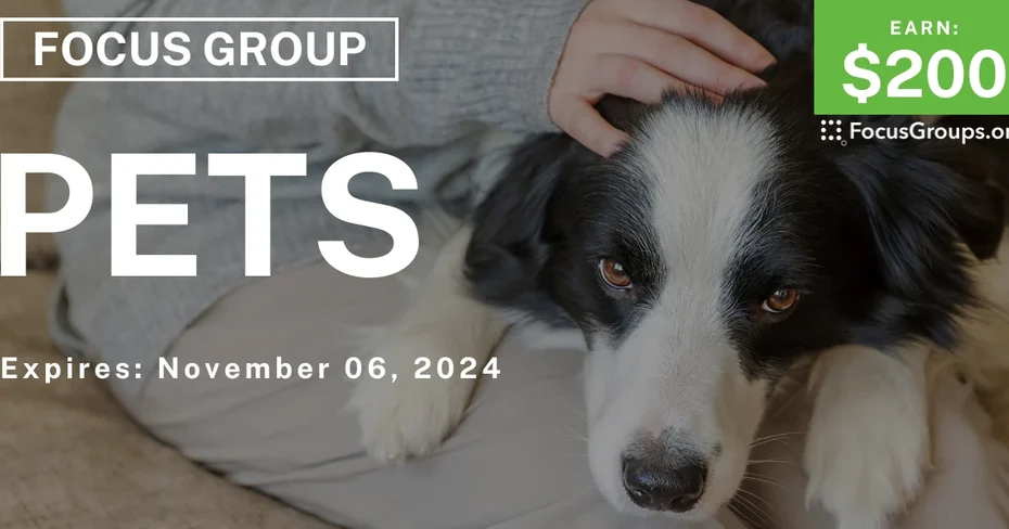 Focus Group in Dallas on Pets