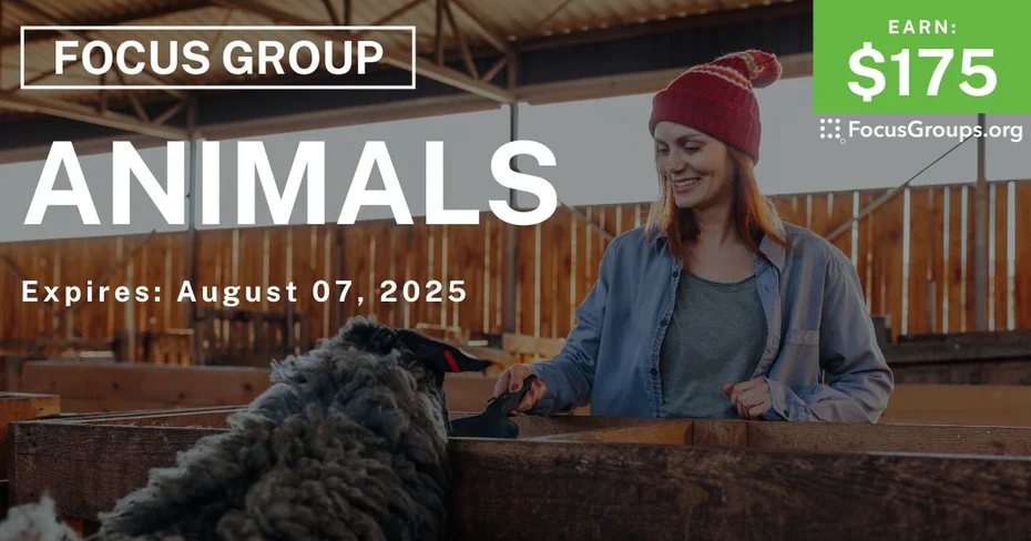Focus Group in Chicago on Animals