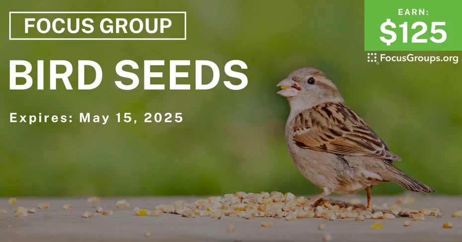 Focus Group in Texas on Bird Seeds