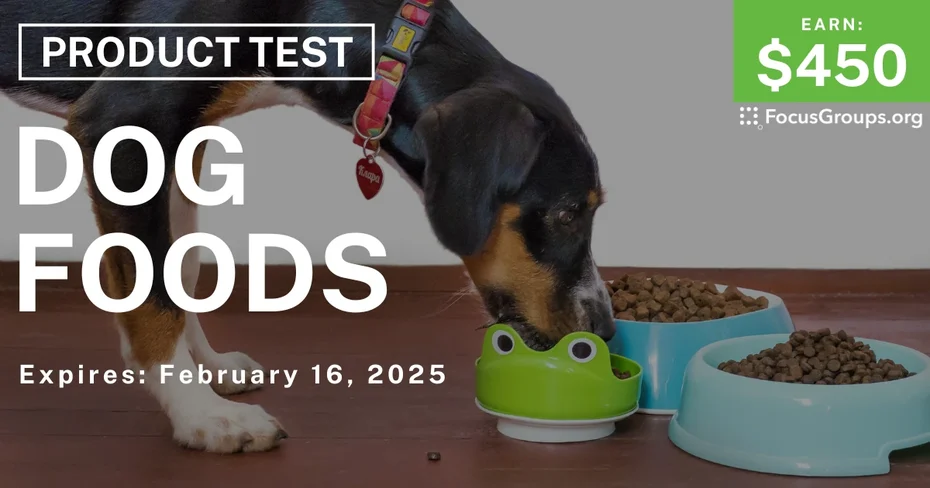 Product Test in Tampa on Dog Foods