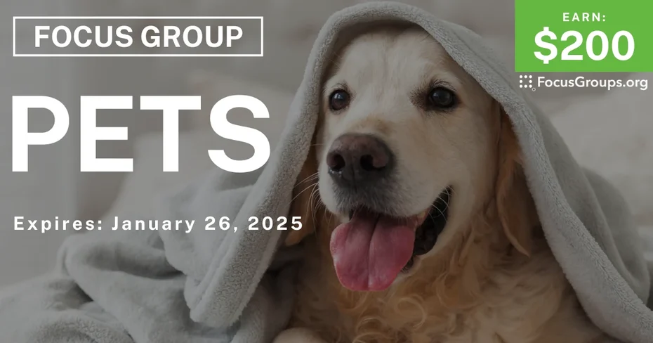 Focus Group on Pets