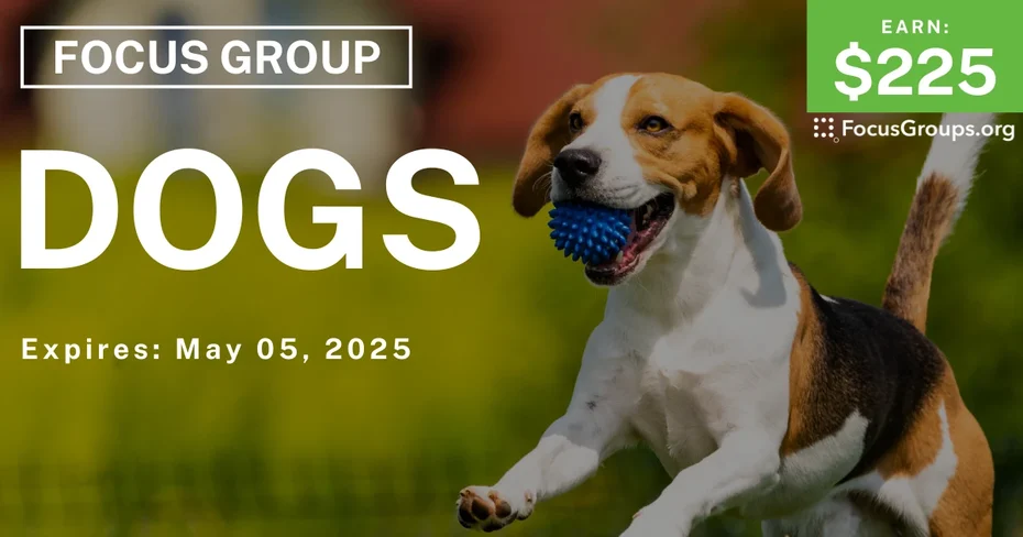 Focus Group in Denver on Dogs