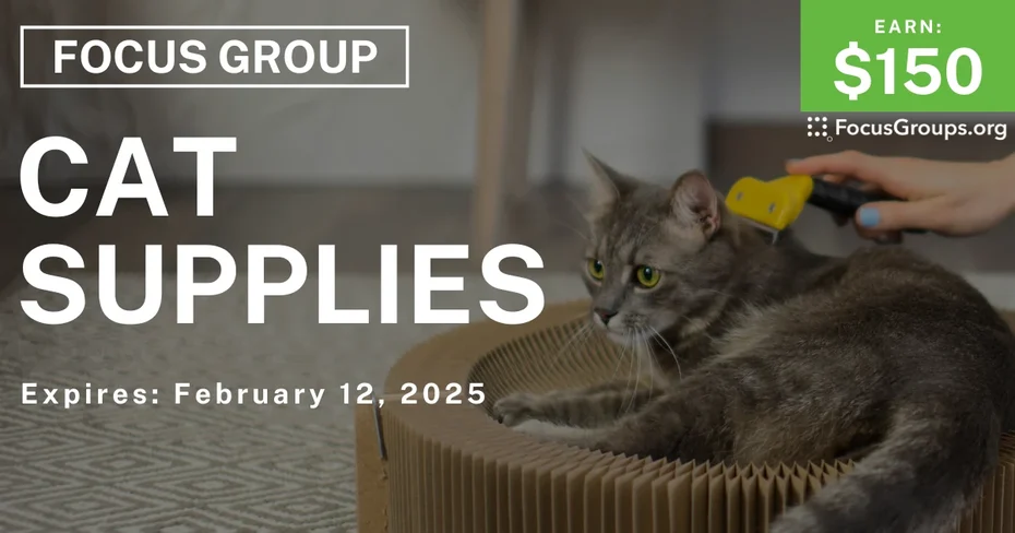 Focus Group in Chicago on Cat Supplies