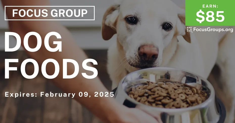 Focus Group on Dog Foods