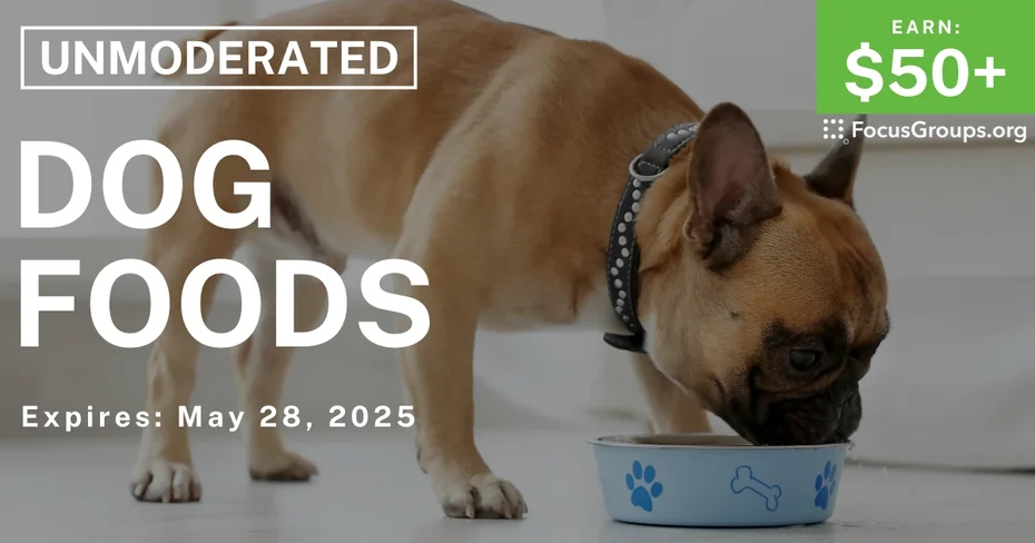 Research Study on Dog Foods