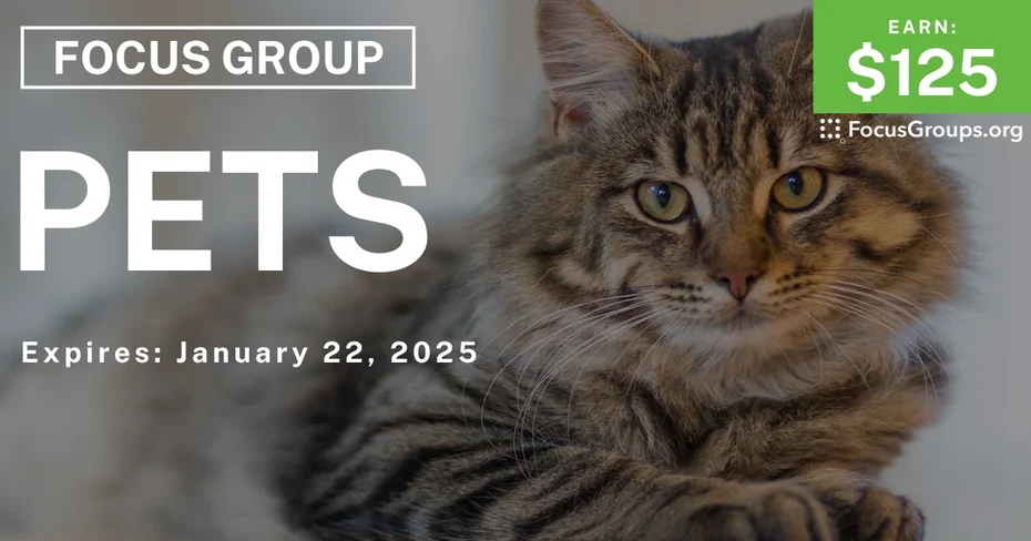 Focus Group in Austin on Pets