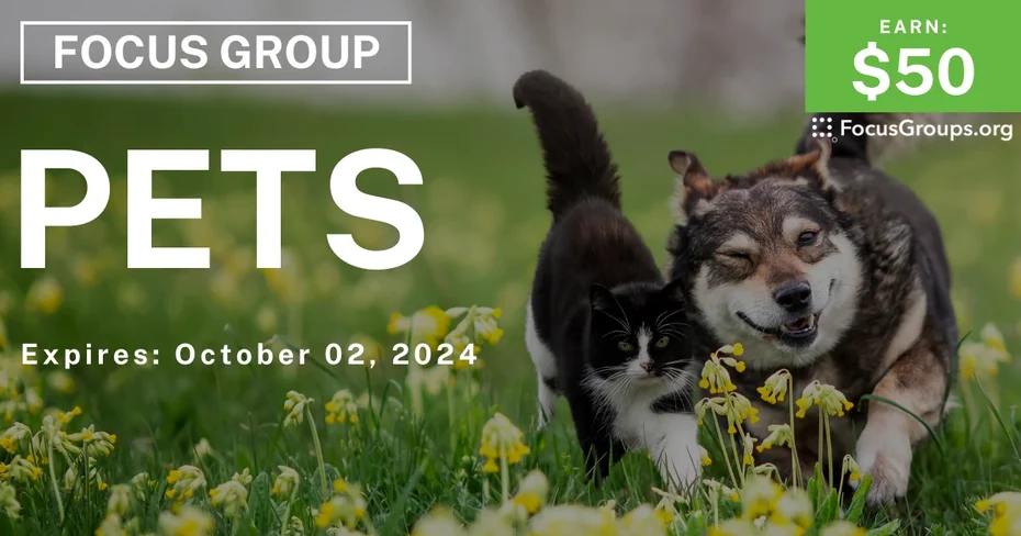 Focus Group on Pets
