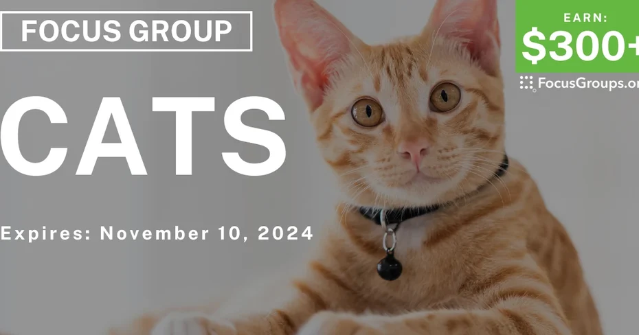 Focus Group in Atlanta on Cats
