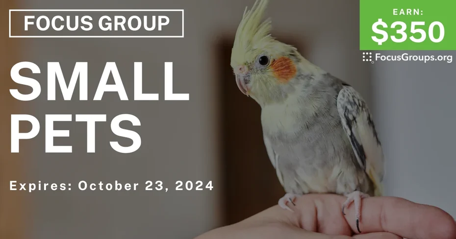 Focus Group in Tampa on Small Pets