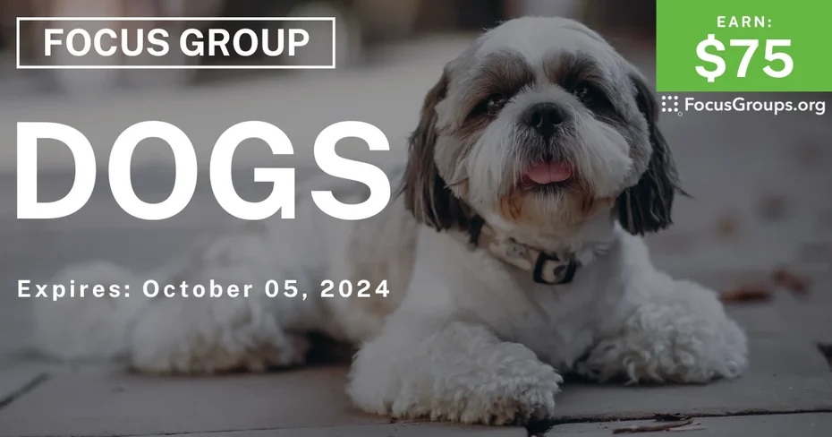 Focus Group in Nashville on Dogs