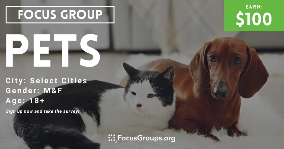 Focus Group on Pets